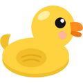 SIMDUCK.COM